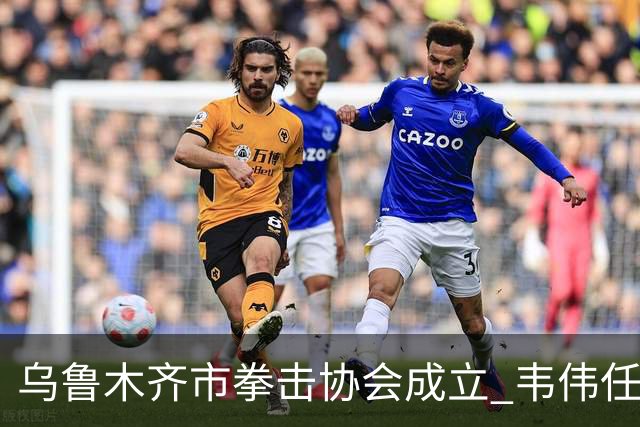 乌鲁木齐市拳击协会成立 韦伟任会长